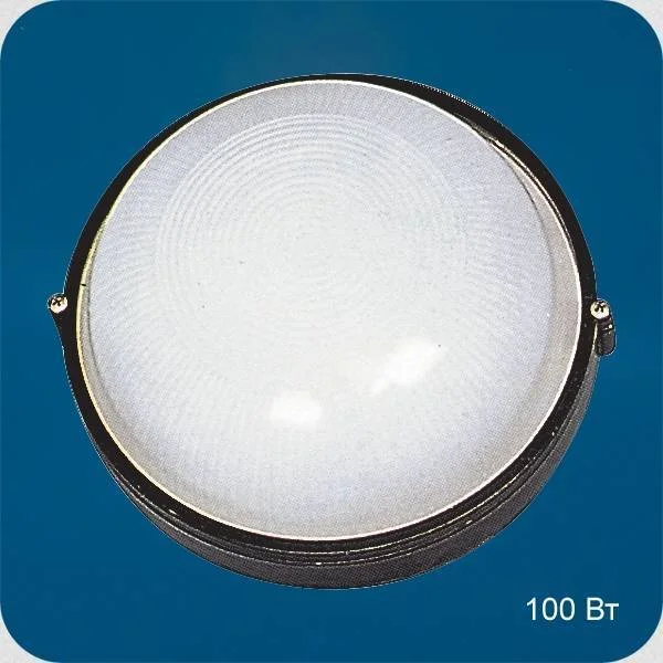 Свет. 1101 (ITALMAC) Круг черный 100Ватт Round WP 60 10 02 (диаметр 254мм) IP54